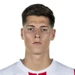 Sava-Arangel Čestić