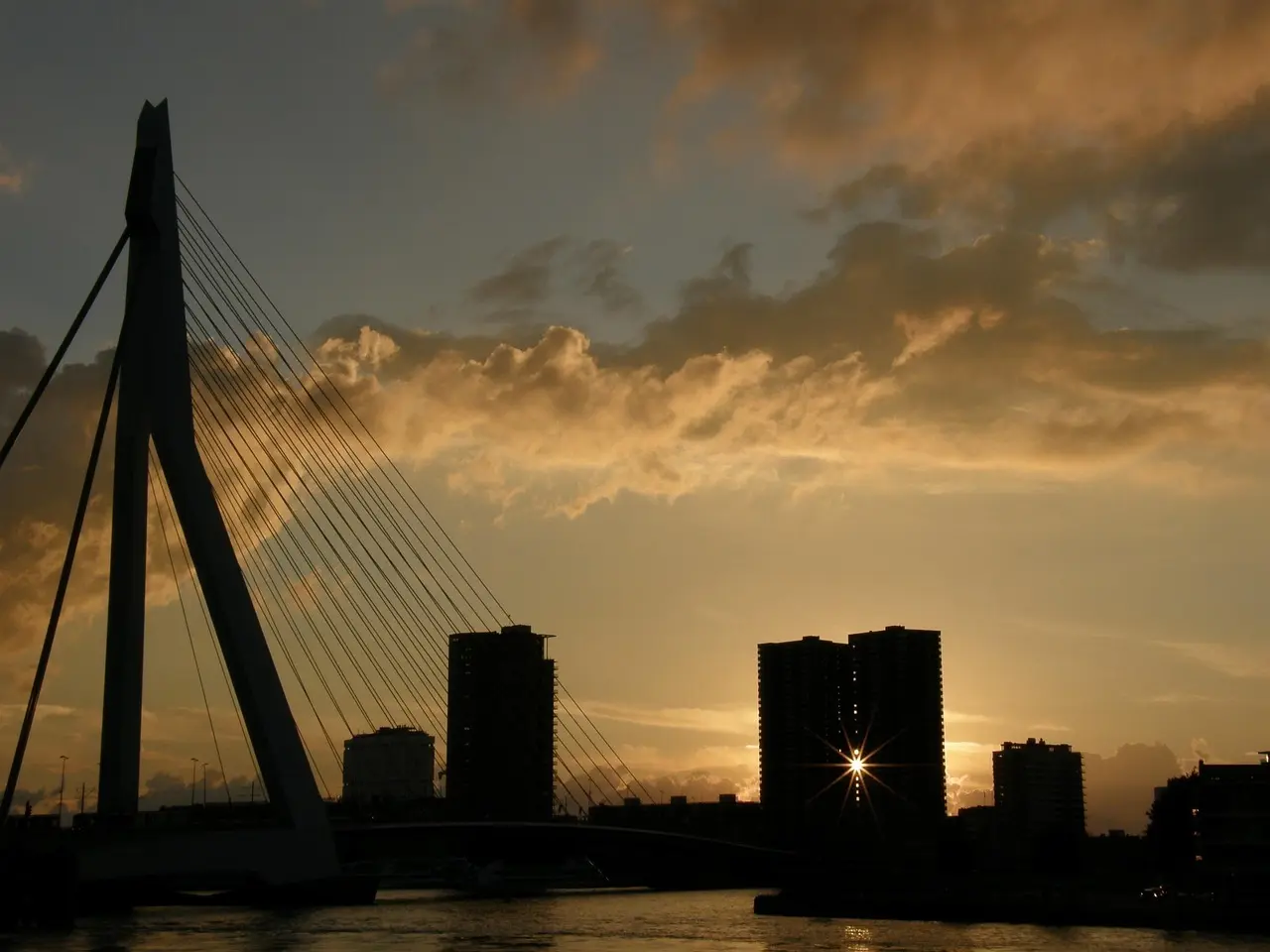 Hvordan er vejret i Rotterdam i uge 31?